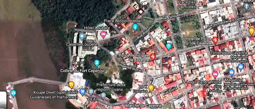 Fourriere à 24 Av. du Général de Gaulle, Cayenne 97300, Guyane française