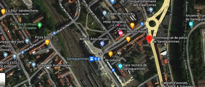 Fourriere à Sarreguemines