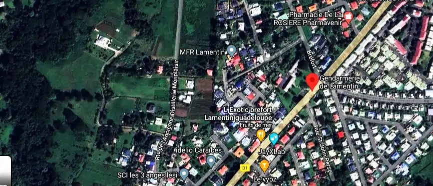 Fourriere à D1, Lamentin 97129, Guadeloupe